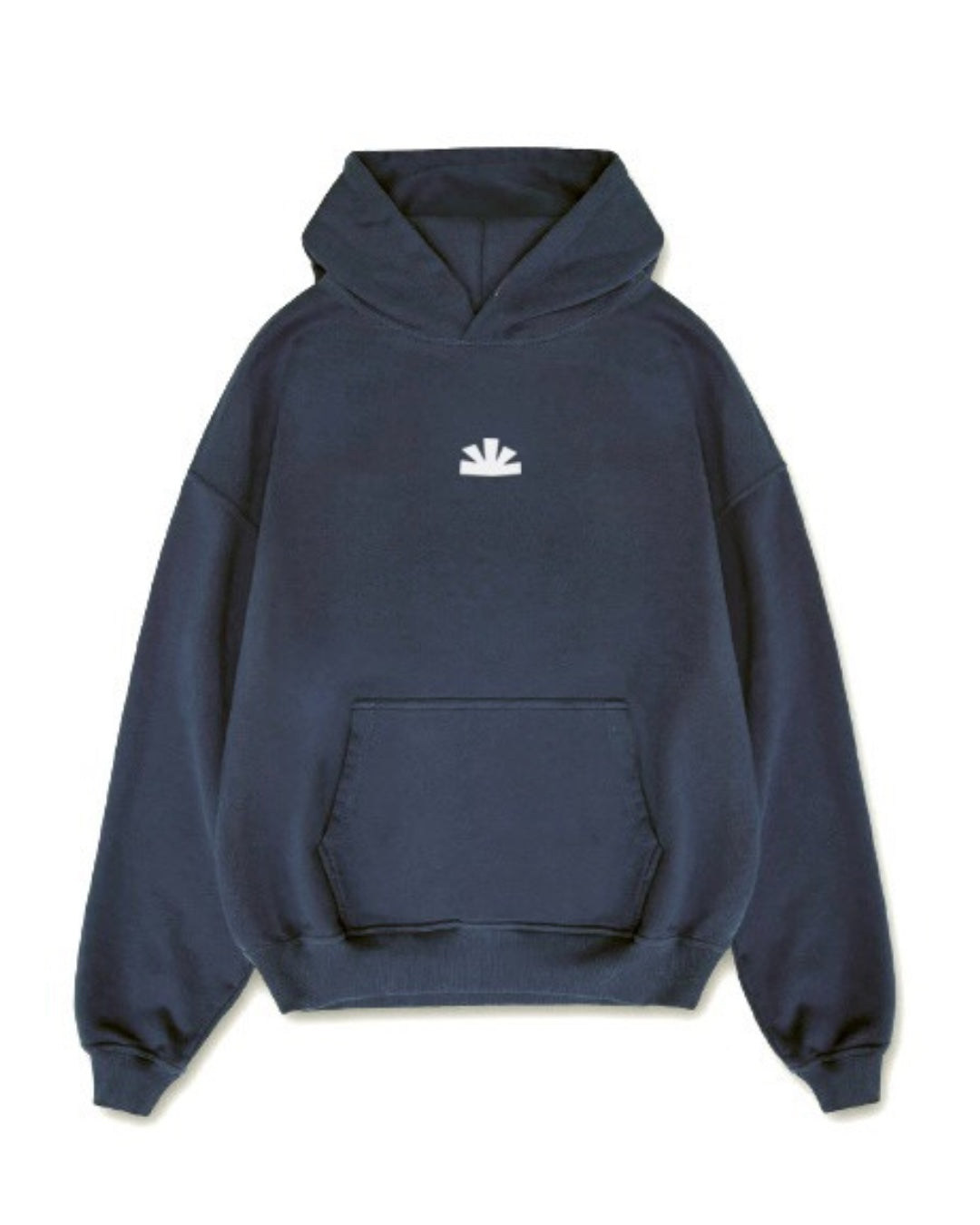 FTS Hoodie Mood Indigo