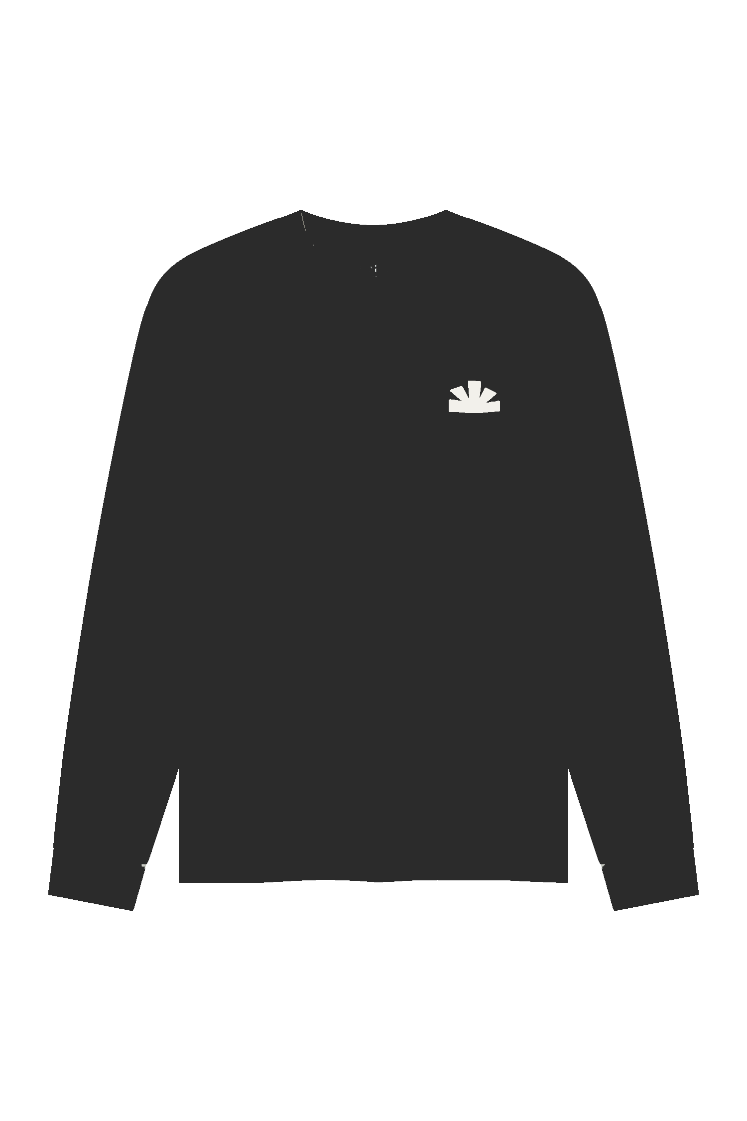 Icon Longsleeve zwart
